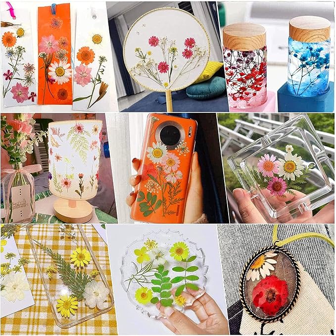 Woohome 91 PCS Natural Dried Pressed Flowers and Leaves - Image 2