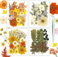 Dried Flowers, Resiners 100Pcs Pressed Flowers by Resiners
