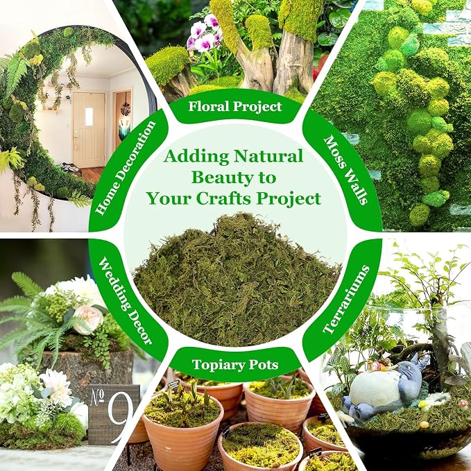 Riare 7OZ Natural Moss Artificial Fake Moss Alternative - Image 7