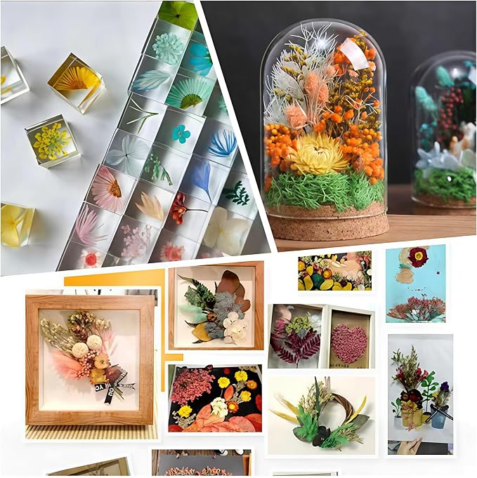 Dried Flower 2 Box DIY Natural Dried Flowers - Image 2