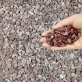 FANTIAN 5 lbs Succulent and Cactus Pebbles by FANTIAN-GardeningMakesLifeBetter