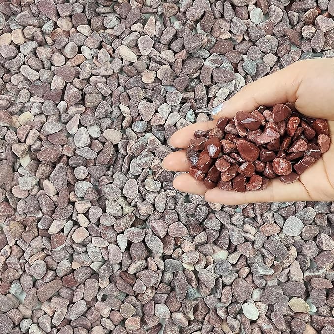 FANTIAN 5 lbs Succulent and Cactus Pebbles by FANTIAN-GardeningMakesLifeBetter