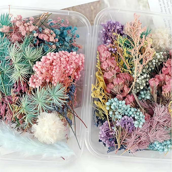 Dried Flower 2 Box DIY Natural Dried Flowers - Image 6