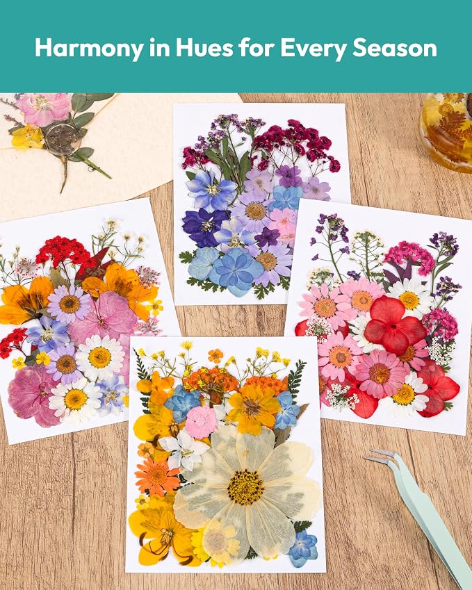 Dried Flowers, Resiners 100Pcs Pressed Flowers - Image 2