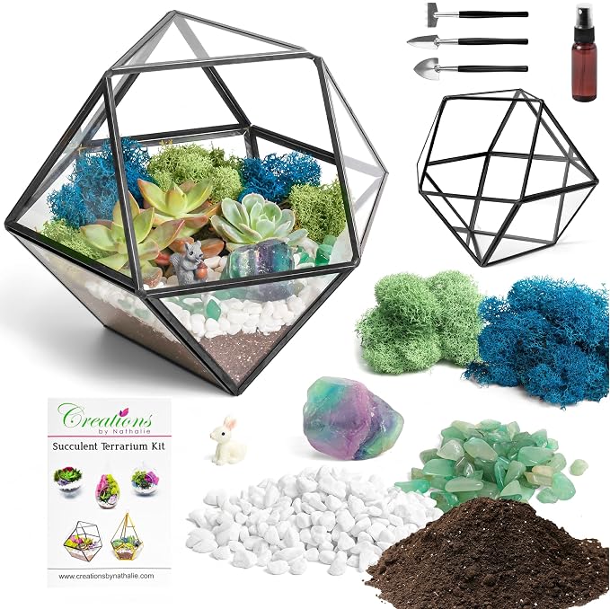 Creations by Nathalie DIY Geometric Glass Terrarium Kit - Image 2