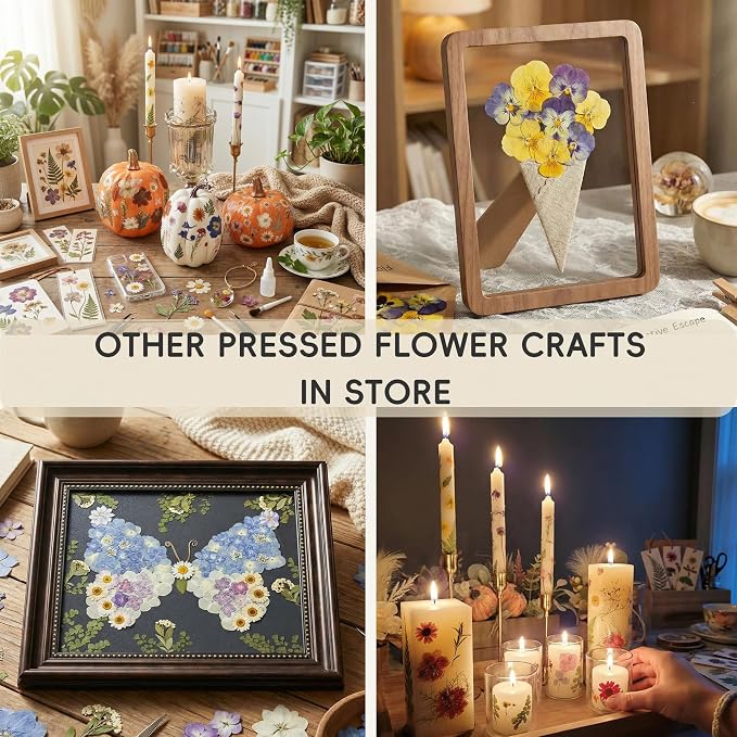 LUXEEASE 80P Vibrant Multicolor Dried Pressed Flowers | No matching needed - Image 9