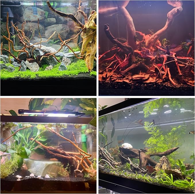 Azil Natural Aquarium Driftwood Root – Driftwood - Image 3