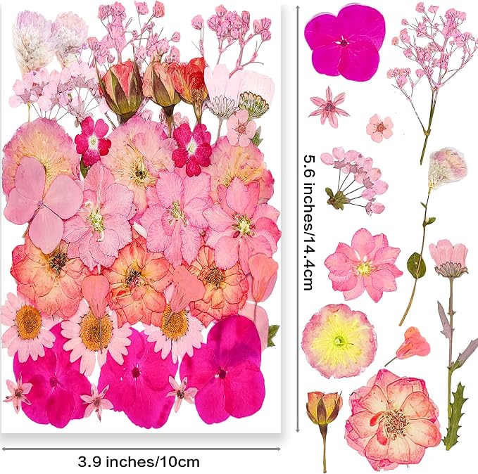 15 Types 37pcs Pink Dried Pressed Flowers - Image 2