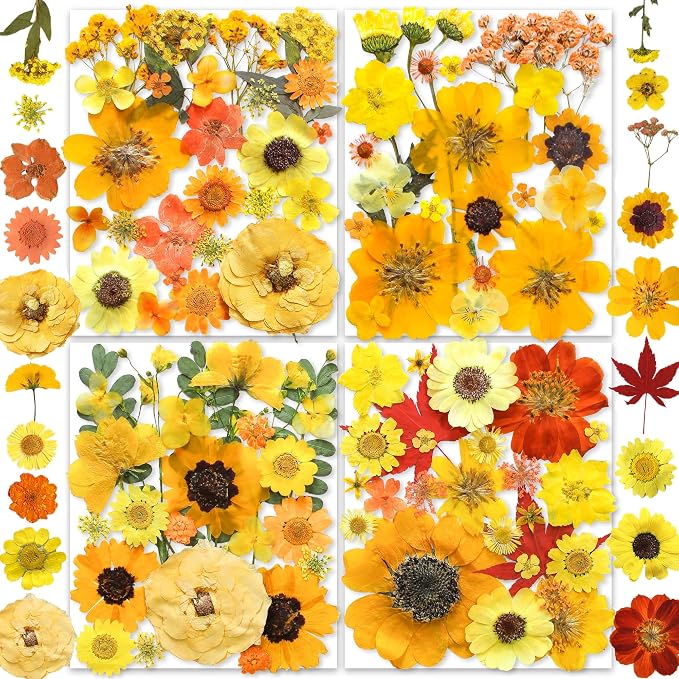 150PCS Yellow Dried Pressed Flowers by YouthBro