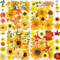 150PCS Yellow Dried Pressed Flowers by YouthBro