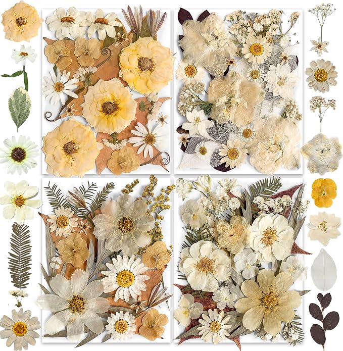 96PCS Vintage White Dried Pressed Flowers by YouthBro