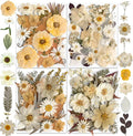 96PCS Vintage White Dried Pressed Flowers by YouthBro