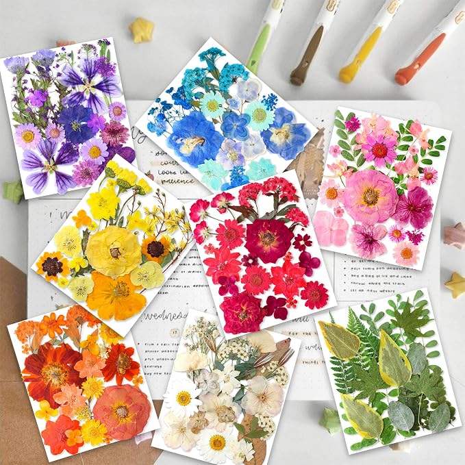 269PCS Dried Pressed Flowers for Resin Craft - Image 2