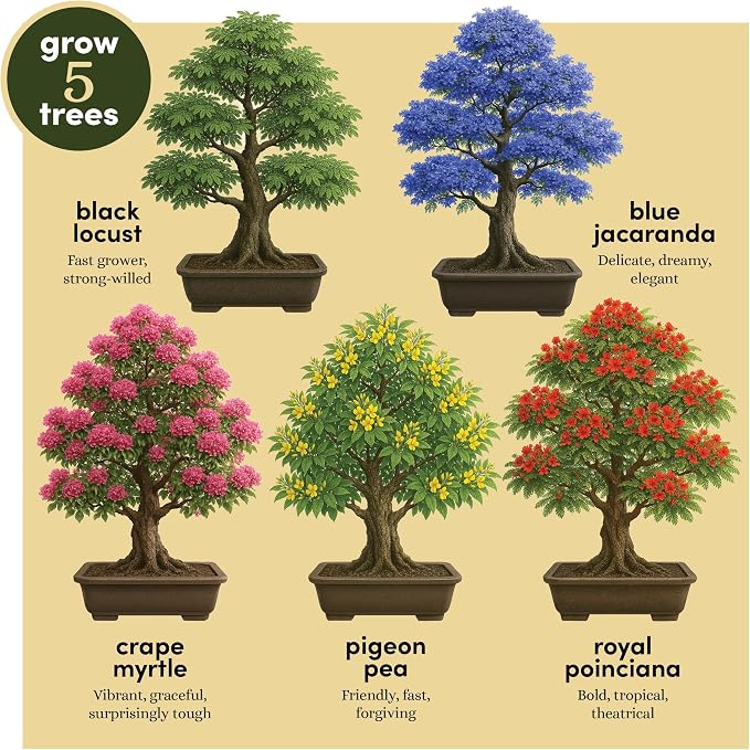 Planter's Choice Bonsai Tree Starter Kit - Image 3