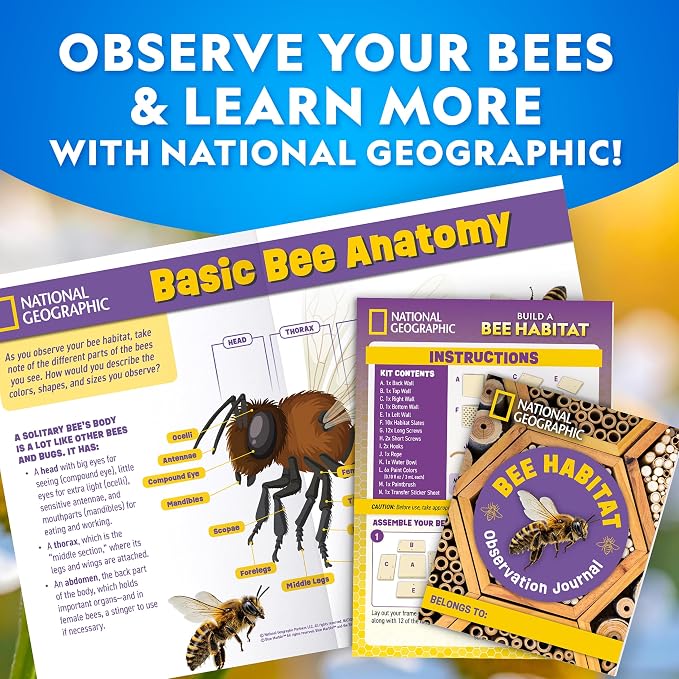 National Geographic Build a Bee Habitat Craft Kit - Image 6