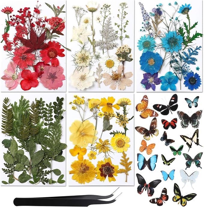 Augshy Real Dried Pressed Flower Set by Augshy