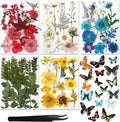 Augshy Real Dried Pressed Flower Set by Augshy