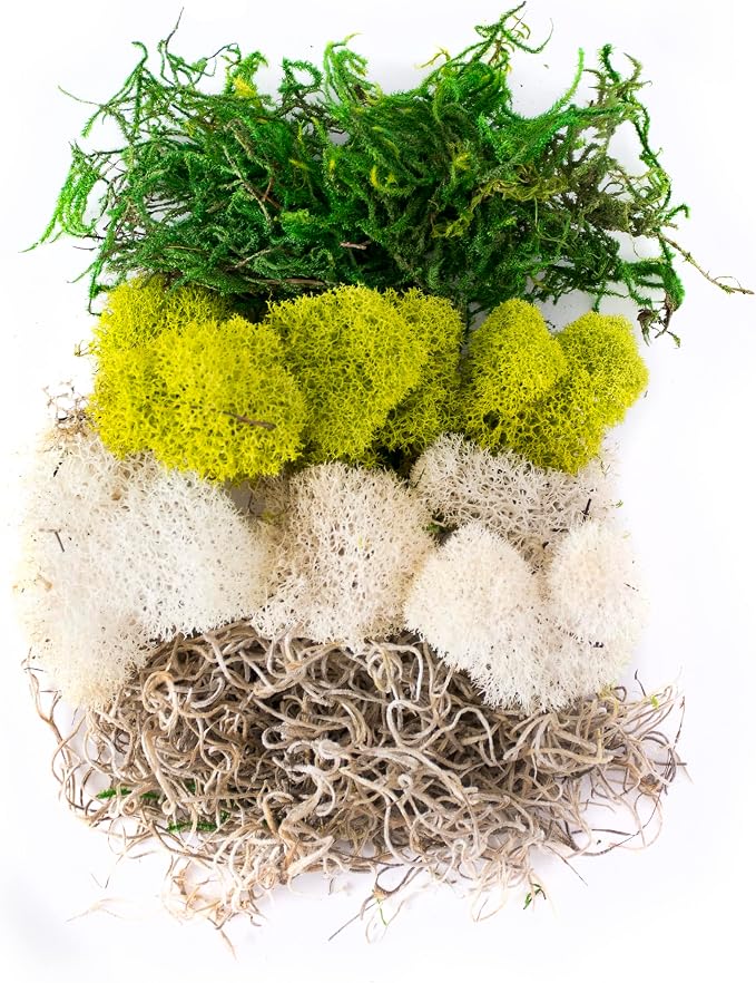 SuperMoss Moss Mix – Premium Decorative Moss - Image 2