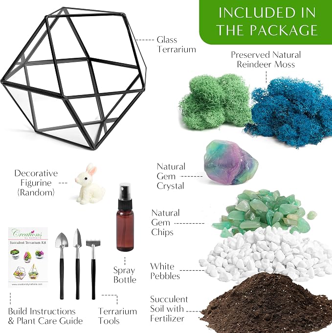 Creations by Nathalie DIY Geometric Glass Terrarium Kit - Image 4