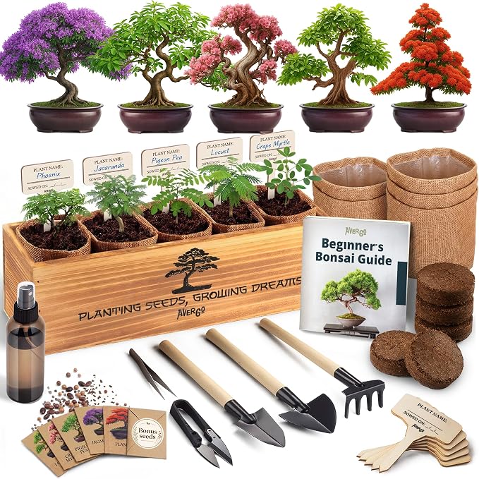 Bonsai Tree Kit Deluxe by Plantingseedsgrowingdreams