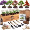 Bonsai Tree Kit Deluxe by Plantingseedsgrowingdreams