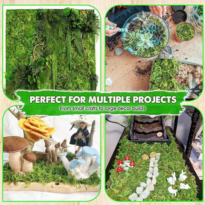 DUSPRO Green Forest Moss for Crafts, Real Dried Decorative Moss, 1.25 Lbs | - Image 4