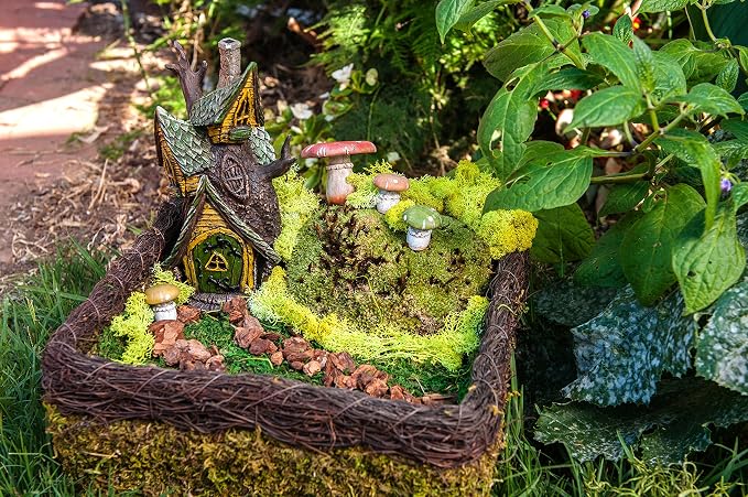 SuperMoss Fairy Garden Kit, Mixed Mosses, 4 oz. - Image 4
