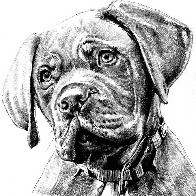 Hinkler Art Maker Masterclass Collection: Drawing Techniques Kit - Image 6
